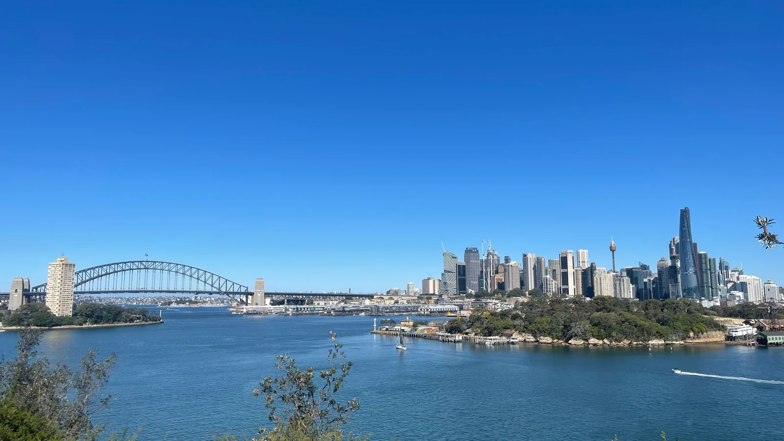 白天的悉尼海港与城市全景