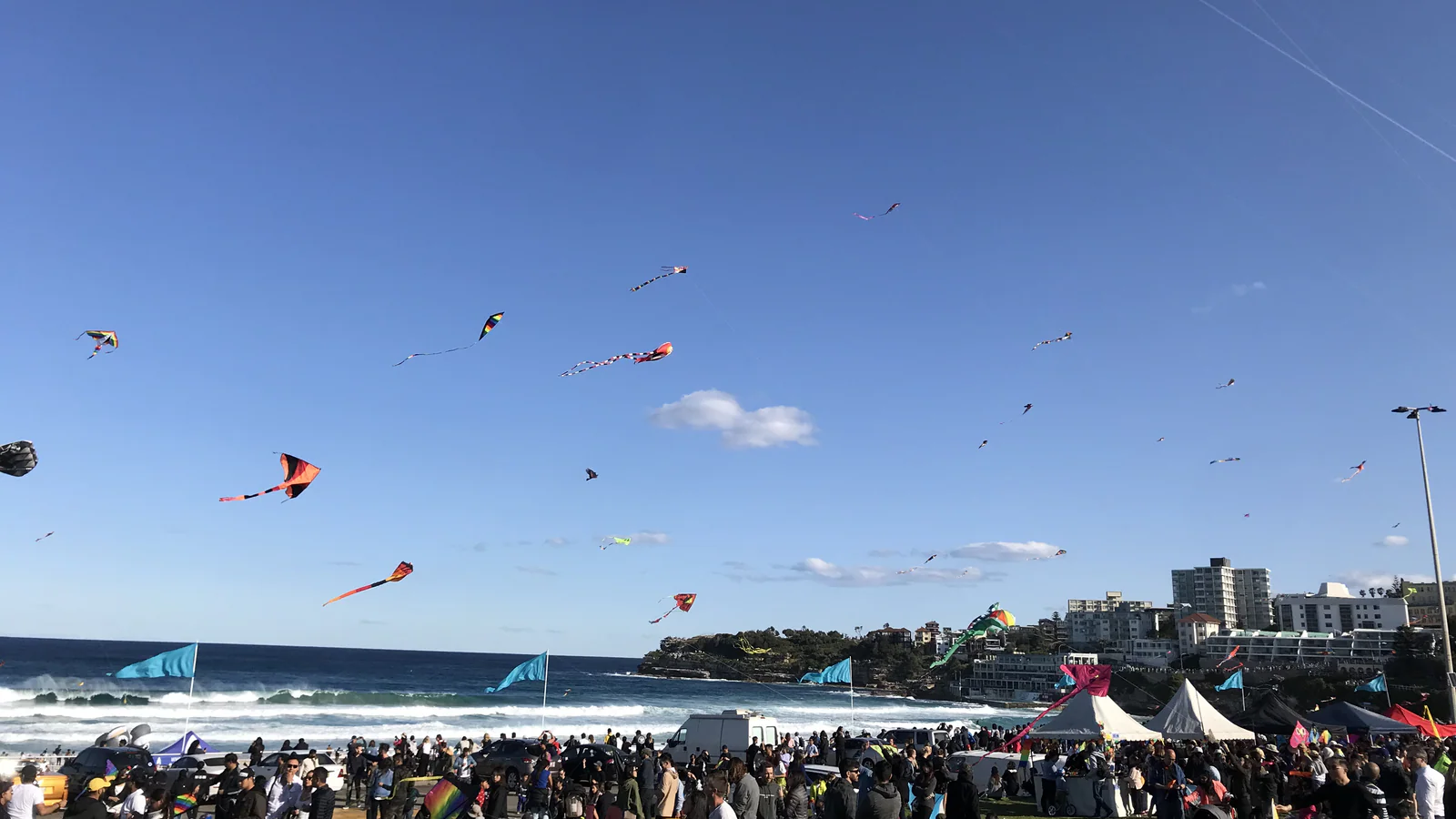 国际研学活动中的海边风筝体验